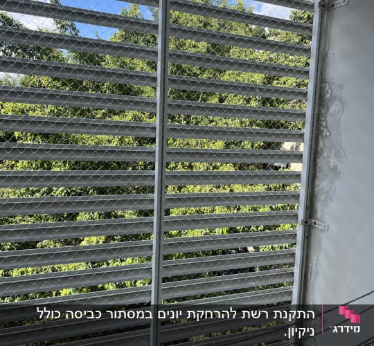 רשת מתכת על חלון למניעת כניסת יונים